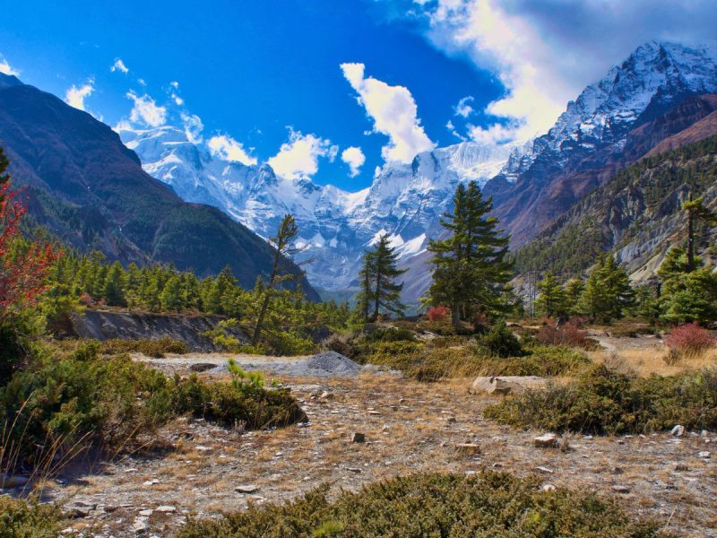 treking in nepal